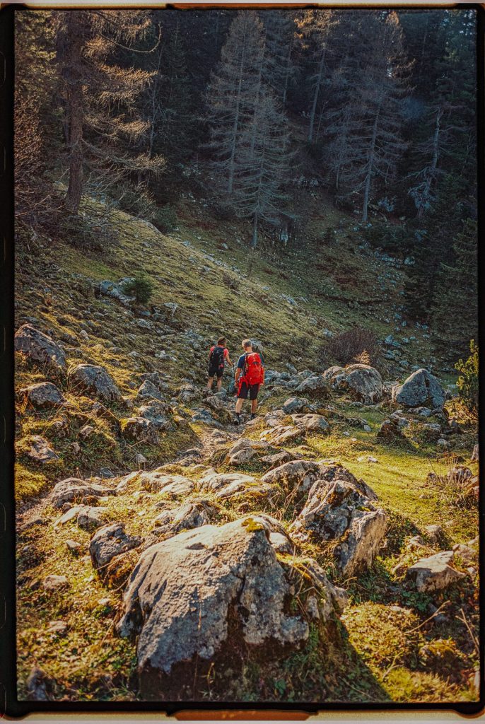 Geäuse Landschaft Analog