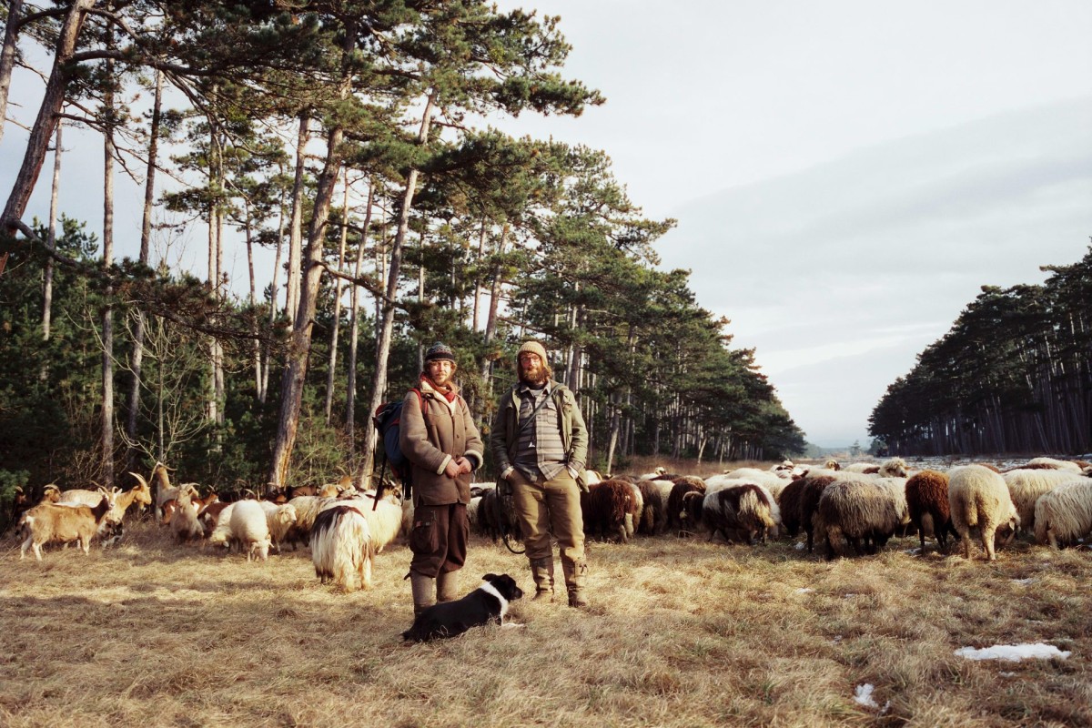 hirtenkultur-2026-februar-mamiya-7-1-9