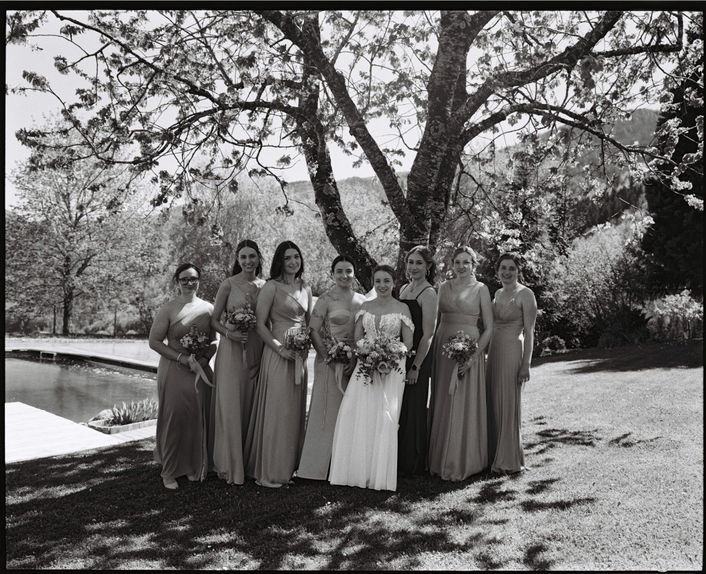 AnalogeHochzeit Steyer